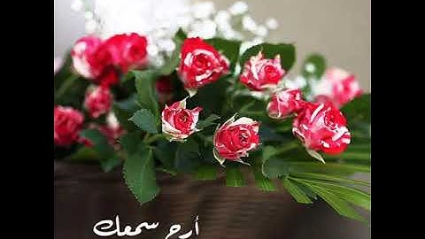 وَقَالَ الْمَلِكُ إِنِّي أَرَىٰ سَبْعَ بَقَرَاتٍ سِمَانٍ، أرح سمعك وقلبك، تلاوة تهتز لها القلوب. ❤️