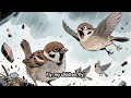 5,The Little Bird That Could,🐦,Inspirational English Story