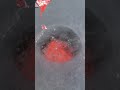Lava VS Ice Lake Experiment