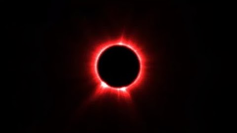 How to spawn a phoenix in ark survival evolved