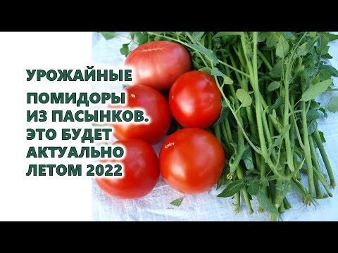Video: Daržovių Ir Vaisių Auginimo Paslaptys