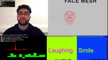 Mood detection for Computer Vision using Wekinator