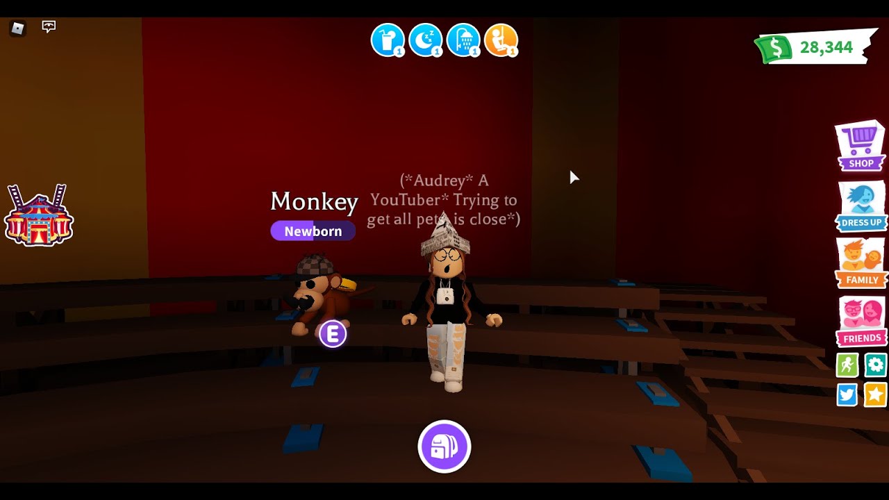 *New Monkey Update in Adopt Me* - YouTube