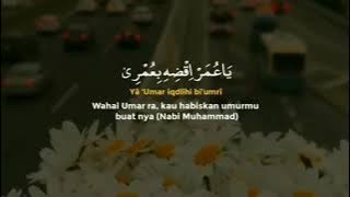 STORY WA SHOLAWAT || petik gitar Sholawat Ya Thoybah