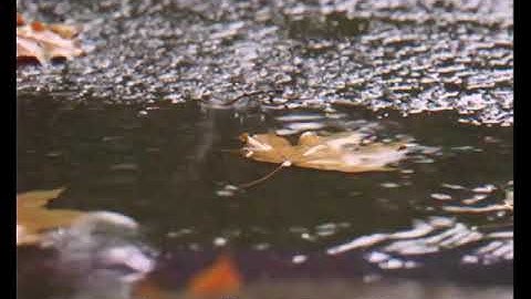 VHS tutorial test with Shotcut - SD video quality