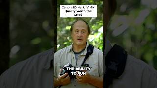 Canon 5D Mark IV vs III  4K, Magic Lantern & C Log Explained!