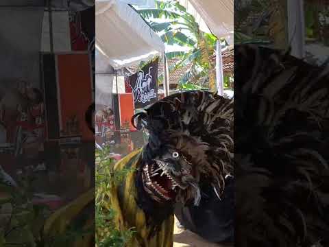 BARONGAN SIDO ASIH Shorts Shortvideo Seni Culture Barongan Jepara Jeparahits 