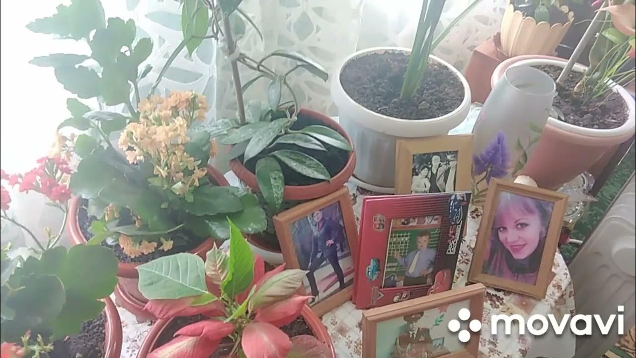Маруся переживает 😂можно ли за 50 евро купить помидор 😂😂 - YouTube