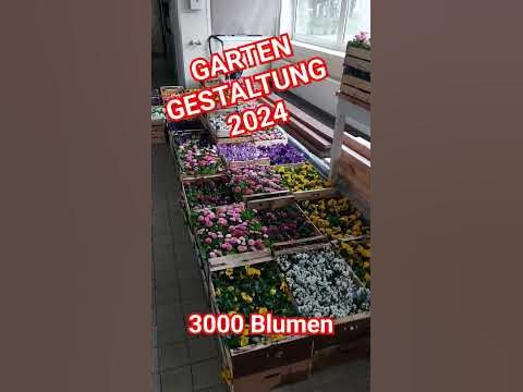 Gartengestaltung 2024 YouTube