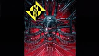 MACHINE HEAD - OUTSIDER 2025