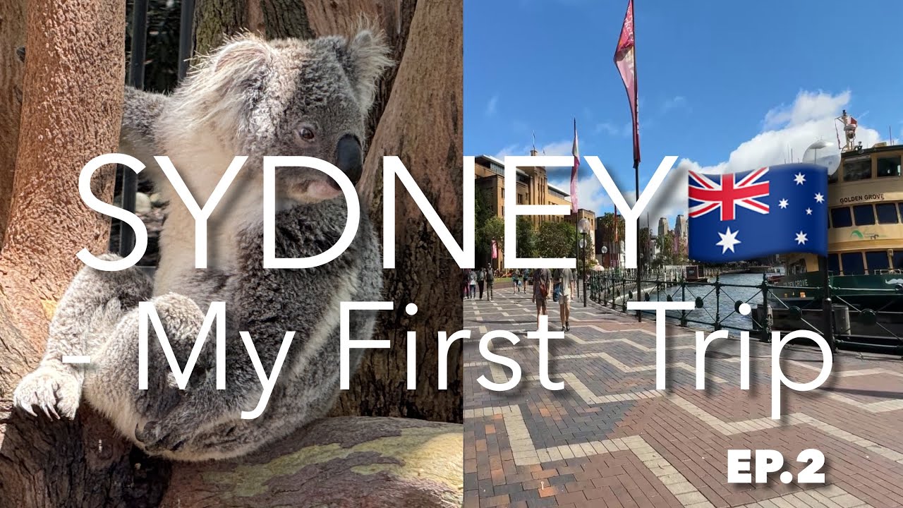 【週末海外】有休1日でシドニーへ🇦🇺 EP.2 | コアラ🐨の癒やし、ハーバー散歩