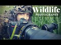 WILDLIFE PHOTOGRAPHY - The Eurasian Beaver | LOODUSFOTOGRAAFIA - Emajõe kobras