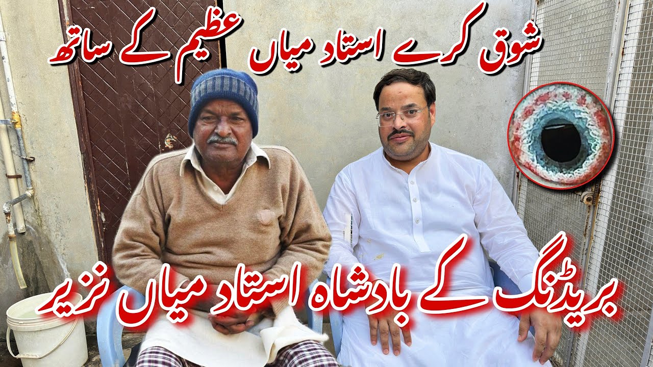Ustad Mian Nazeer Pigeon Loft with Ustad Mian Azeem Nazeer Lalyani