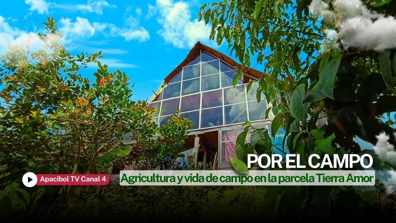 POR EL CAMPO - AGRICULTURA Y VIDA DE CAMPO EN TIERRA AMOR