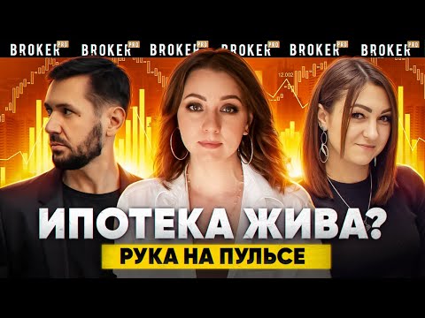 Как взять ипотеку в 2024? Рассрочки, акции, варианты квартир