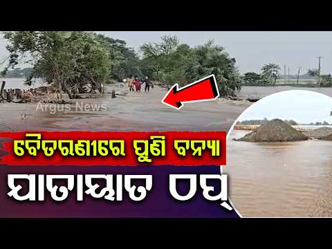Baitarani River Swells Again; Flood Threat In 25 Villages Of Chandbali | Argus News