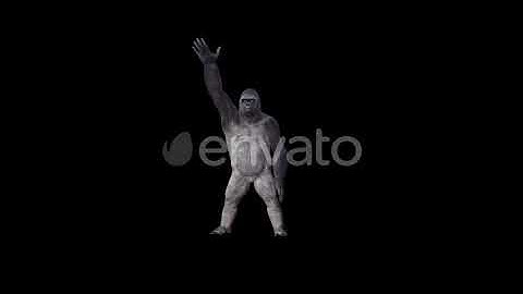 Gorilla 4K Ice Ice Baby Dance | Motion Graphics - Envato elements