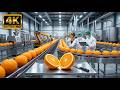 Farm to Juice Factory Process | Complete Food Production Journey Explained