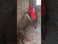 bathroom diverter fitting || besin diverter || toilet fiting ||  #shorts