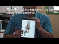 この慢性腰痛を本気で何とかしたいと思っているあなたへ／長崎の田中整骨院