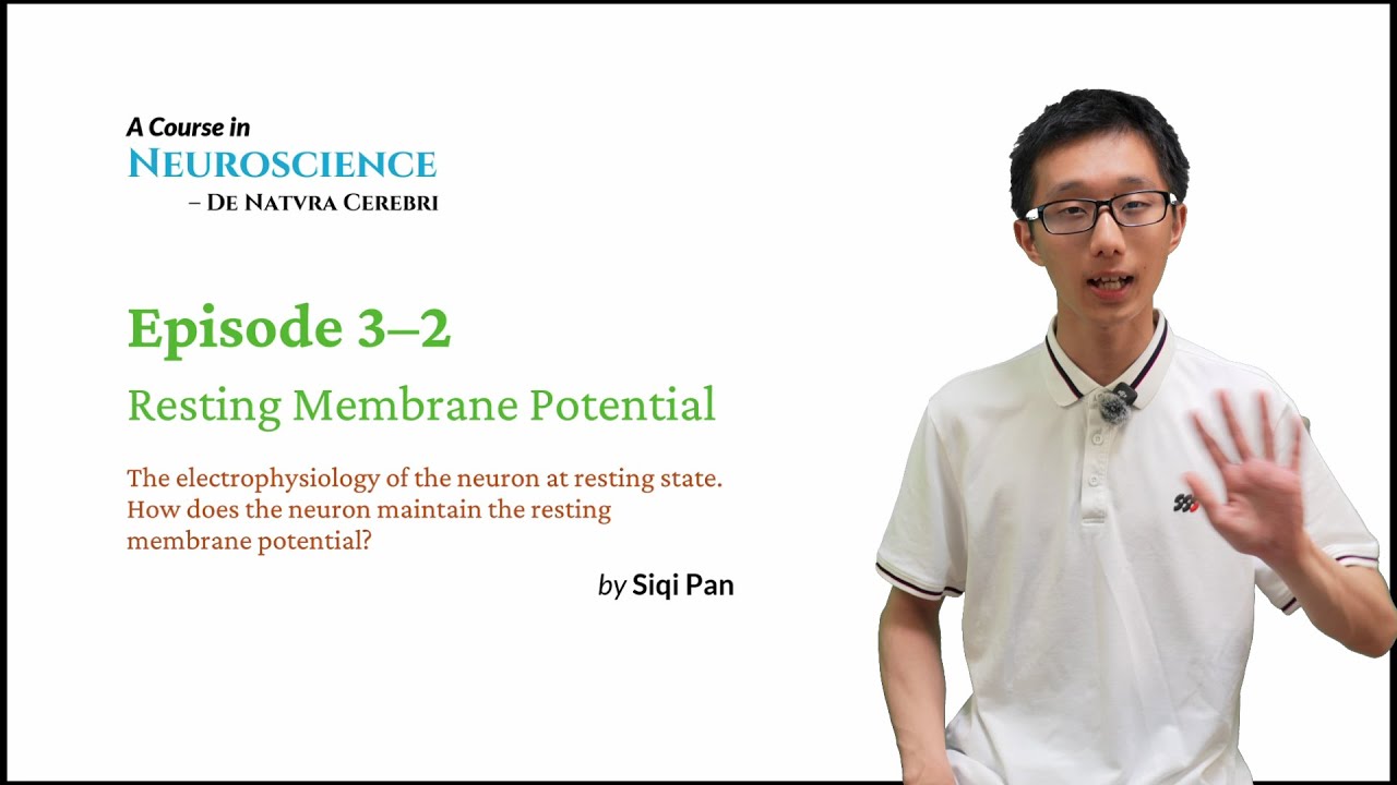 Neuroscience Course - EP3-2 Resting Membrane Potential - YouTube