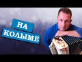 Паша гармонист - На колыме (поседевшая любовь моя)