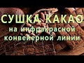 ≋Сушка какао-бобов на сушильном оборудовании УкрСушка