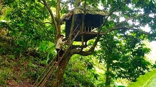 Full Video| Survival in the Forest - Building Tree Houses, Bamboo Houses, Under Heavy Rain.