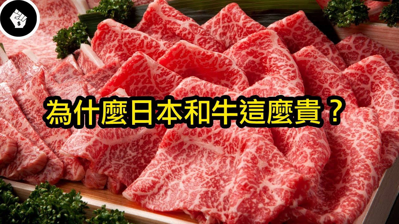 日本和牛的歷史只有60年 卻發展成全球最貴的牛肉 為什麼和牛這麼昂貴 Youtube