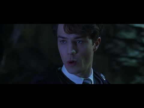 Дневник Тома Рэддла, Лорд Волан-де-Морт | Гарри Поттер и тайная комната (2002)