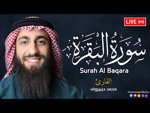 سورة البقرة كاملة للشيخ محمد ديبيروف لطرد الشياطين من منزل وجلب البركة باذن اللهSurat Albaqara  سورة البقرة كاملة للشيخ محمد ديبيروف لطرد الشياطين من منزل وجلب البركة باذن اللهSurat Albaqara