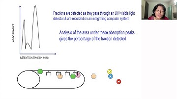 ISHBT  Masterclass lecture on Interpretation of HPLC 10th Aug 2022