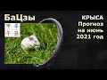 КРЫСА прогноз на июнь 2021 от Анны Зайцевой