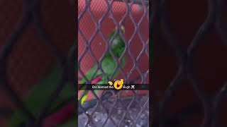 Bro Learned How To Aalaka Laught