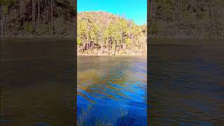 Look4Me In The No Service Zone Pointofpines, Az. 2024