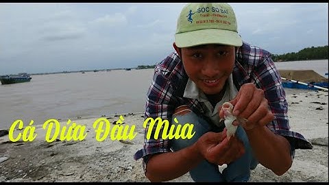 Câu Cá Dứa Đầu Mùa Dưới Chân Cầu Mỹ Lợi Bằng Mồi Câu Đơn Giản/Một Góc Quê Hương