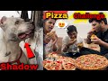 Shadow  hui car  me ghush gya  eating big pizza  challenge