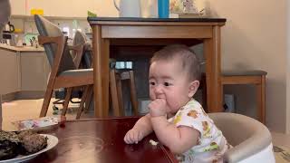 아기영상_봄의하루 20220119