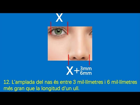 Vídeo: Què és l'amplada de longitud?