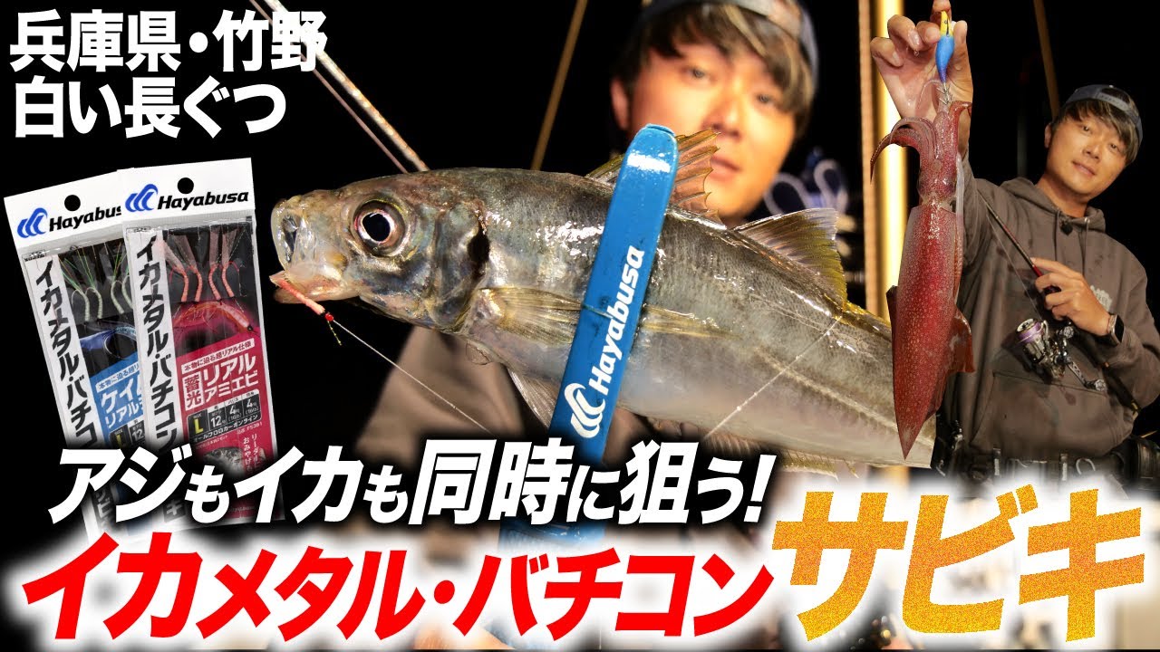 【イカメタルサビキ】アジもイカも同時に狙う！イカメタル・バチコンサビキで良型アジが爆釣！