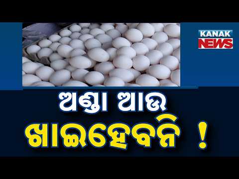 Odisha Egg Price Hike | Egg Costs ₹9 as Minister Gokulananda Mallik Explains Price Rise