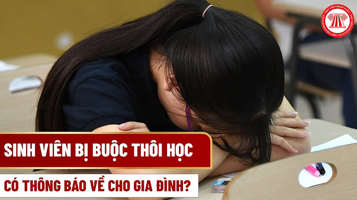 Bỏ học và thôi học khác nhau như thế nào năm 2024