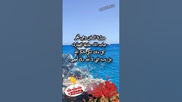 البحر المسخر.. دلائل القدرة الإلهية في سورة النحل الآية 14 @zikourach