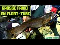 Pche en floattube  grosse truite fario 55cm au leurre