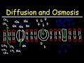 Diffusion and Osmosis - Passive and Active Transport With Facilitated Diffusion