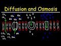 Transport Mechanisms: Exploring Diffusion Osmosis and Cellular Movement