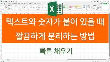 텍스트와 숫자가 붙어 있을 때,  깔끔하게 분리하는 방법 (빠른 채우기)