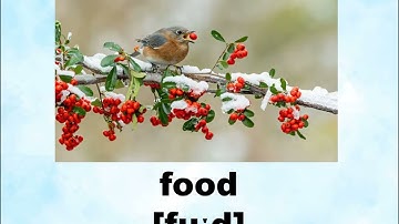 Nature. Super Minds 2. Unit 3