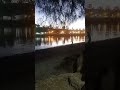 pesca de unos meses en Baradero