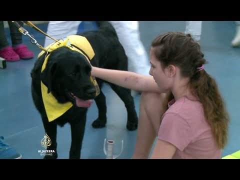 Video: Kako Saznati Raspored Prijema U Dječjoj Klinici